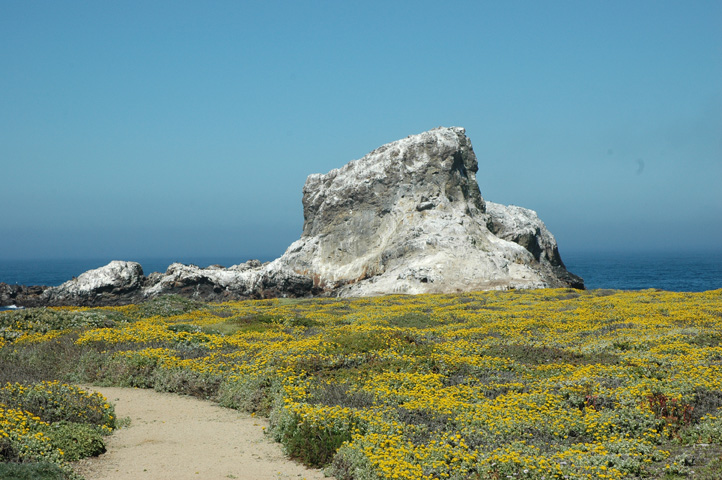 Piedras Blancos Lighthouse 027.jpg